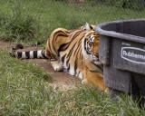 _MG_9504a 8x10lun.jpg
