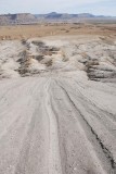 Tracks at Blue Castle