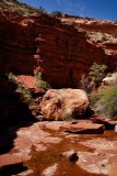 Boulder (looking upstream)