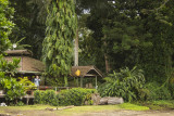 Walindi resort.jpg