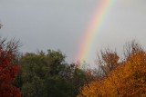 IMG_6279.jpg