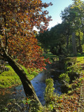 2013-10-10 09.38.40web.jpg