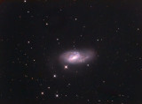 Messier  66 