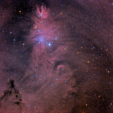 NGC 2264 et la Nébuleuse du Cône