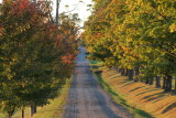 IMG_6687.JPG