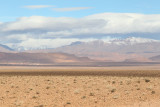 Red-rumped Wheatear's view of Boumalne-du-Dades.
