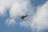 DSC_6233.jpg