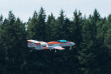 DSC_6264.jpg