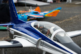 DSC_5774.jpg