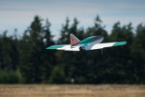 DSC_6355.jpg