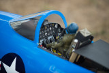 DSC_5877.jpg