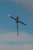 DSC_4063.jpg