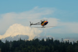 DSC_4120.jpg