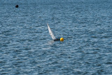_DSC8241-Edit.jpg