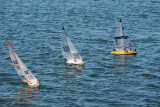 _DSC8255.jpg