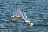 _DSC8310.jpg