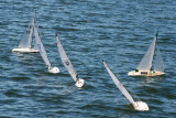 _DSC8312.jpg