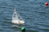 _DSC8406.jpg