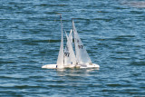 _DSC8408.jpg