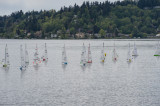 _DSC9046.jpg