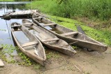 Dugout canoes at Ranger Station #2