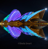 Sydney Opera House reflection abstract
