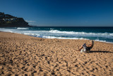 Whalebeach with girl reading