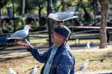 Man with silver gulls