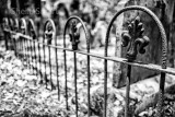 Railing at cemetery