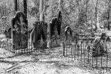 19th century cemetery in Australian bush 