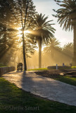 Avalon Beach sun beams 