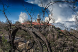 Barrenjoey lighthouse with burnt tree 