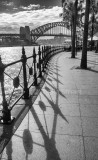 Railings leading down to Sydney Harbour - monochrome version