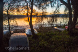 Boats on shore at Narrabeen Lake at sunset