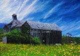 Derelict barn sits amongst flowers