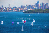 Sydney Harbour yacht race 