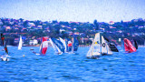 Skiff race on Sydney Harbour