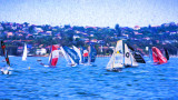 Skiff race on Sydney Harbour 