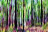 Trees abstract 