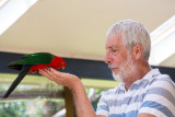 Fred with wild king parrot on deck