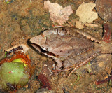 IMG_3853.JPG