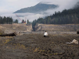 Elwha-13.jpg