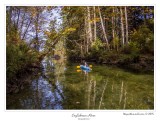 Englishman River 2015