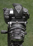 50mm top shift.jpg
