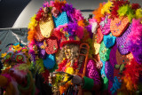 _DSC8856.jpg