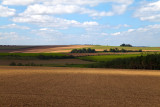 Agricultural landscapes as we left Epernay