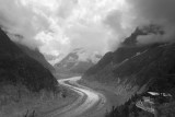 IMG_1301bw.jpg