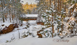 101.3 - Superior Area: Amnicon Bridge in December Snow, Upstream View