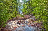 76.31 - Schroeder:  Last Creek Flowing Towards Lake Superior 