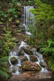 Florida: Rainbow Springs Waterfall